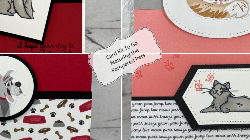 Card Class To Go – Pampered Pets